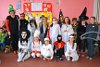 KARNEVAL - 1.STUPE